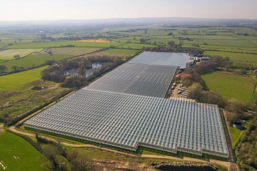 Bradon Nursery, Isle Abbotts, Taunton, TA3