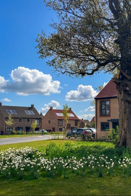 Plot 337 Spenser Rise, Cringleford, Norwich, NR4