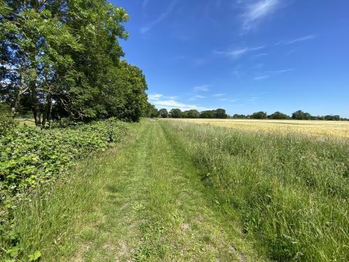 10.45 Acres, Kettlethorpe Lane, Kettlethorpe, Lincoln, LN1