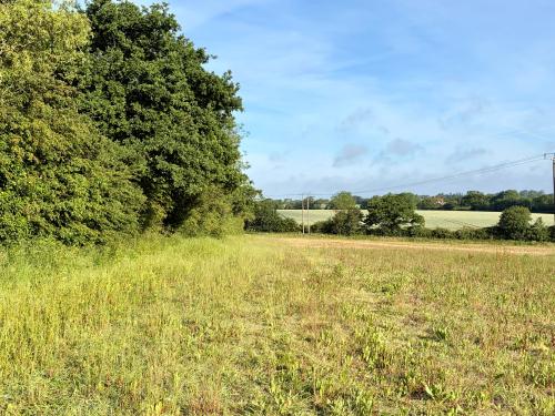 Lot 3, Lodge Lane, Wissett, Halesworth, IP19