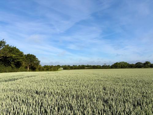 Lot 1, Lodge Lane, Wissett, Halesworth, IP19