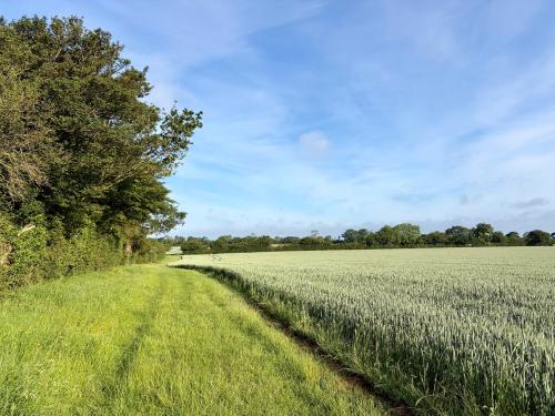 Lot 1, Lodge Lane, Wissett, Halesworth, IP19