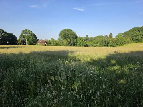 3.26 Acres Larchwood Fields, Pillar Box Lane, Seal Chart, Sevenoaks, TN15
