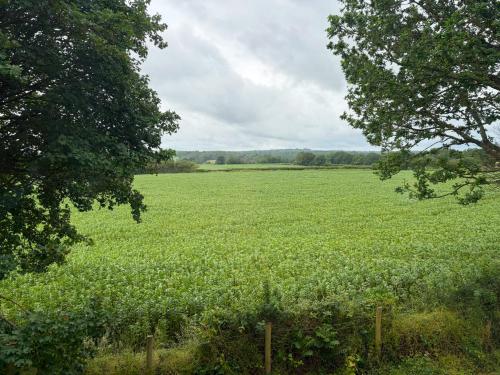 Chequers Barn, Chequers Hill, Bough Beech, Edenbridge, TN8