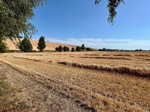 10 Acres, Northfield Farm Industrial Estate, Wantage Road, Great Shefford, Hungerford, RG17