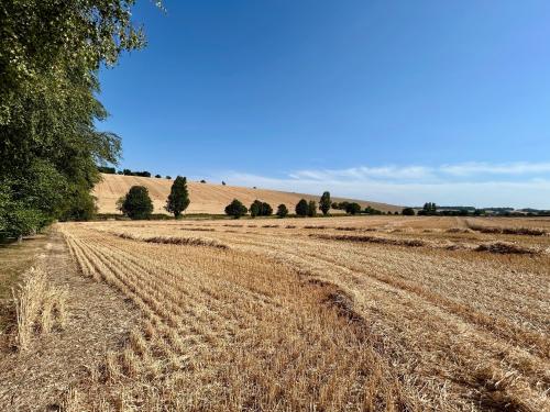 10 Acres, Northfield Farm Industrial Estate, Wantage Road, Great Shefford, Hungerford, RG17