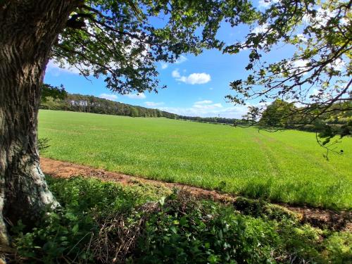 New Yards Farmhouse, West Lexham, Kings Lynn, PE32