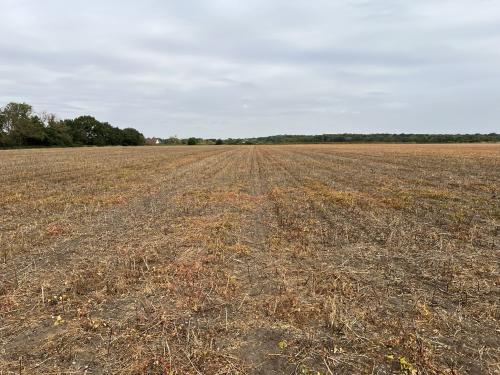 23.79 Acres Lot 2, Fen Lane, Metheringham, Lincoln, LN4