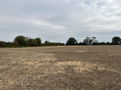 23.79 Acres Lot 2, Metheringham Fen Lane, Metheringham, Lincoln, LN4