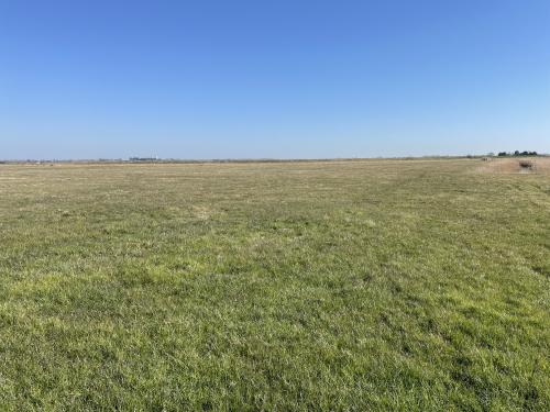 Grazing Marsh, A47 Acle New Road, Great Yarmouth, NR30