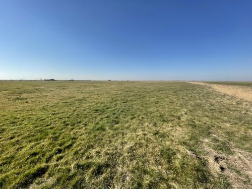Grazing Marsh, A47 Acle New Road, Great Yarmouth, NR30