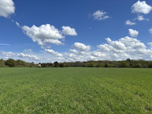 Bradfield Combust Land At Block Farm, Bury St Edmunds, Bury St. Edmunds, IP30