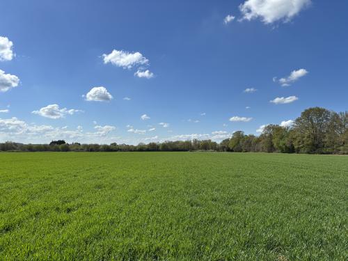 Bradfield Combust Land At Block Farm, Bury St Edmunds, Bury St. Edmunds, IP30