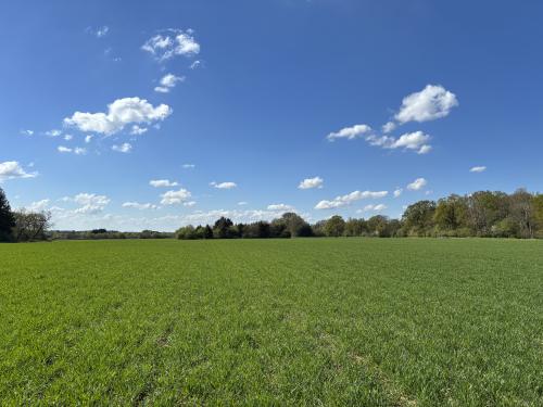 Bradfield Combust Land At Block Farm, Bury St Edmunds, Bury St. Edmunds, IP30