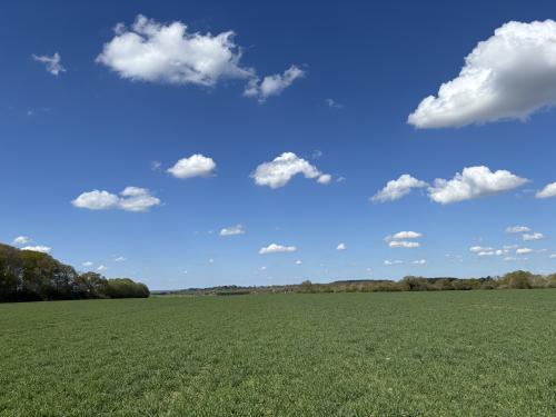 Bradfield Combust Land At Block Farm, Bury St Edmunds, Bury St. Edmunds, IP30