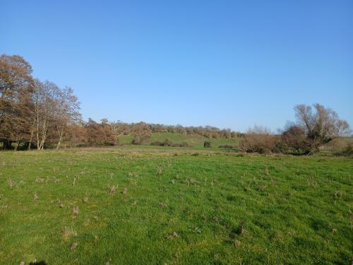Loddon, Norwich, NR14