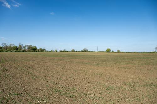 Arable Land, Trafford Farm Land, Carlton-Le-Moorland, Lincoln, LN5