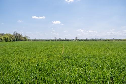 Arable Land, Trafford Farm Land, Carlton-Le-Moorland, Lincoln, LN5