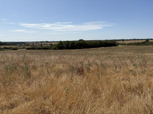58.02 Acres, Banbury Lane, Culworth, Daventry, OX17