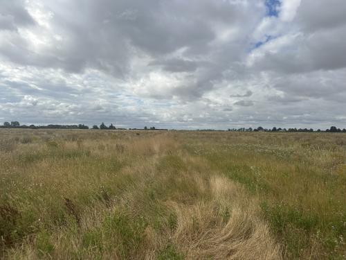 Upwell Marmont Priory Estate, Thurland's Drove, Upwell, Wisbech, PE14