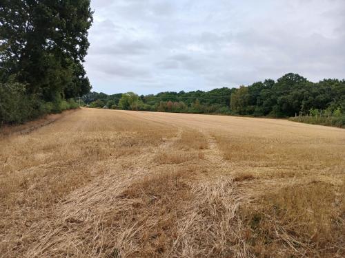 4.48 Acres Burgh Common, Fleggburgh, Great Yarmouth, NR29