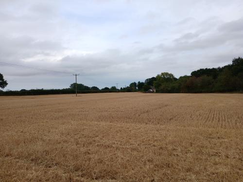 4.48 Acres Burgh Common, Fleggburgh, Great Yarmouth, NR29