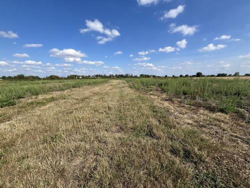 10.74 Acres, Wheatley Bank, Wisbech, PE14