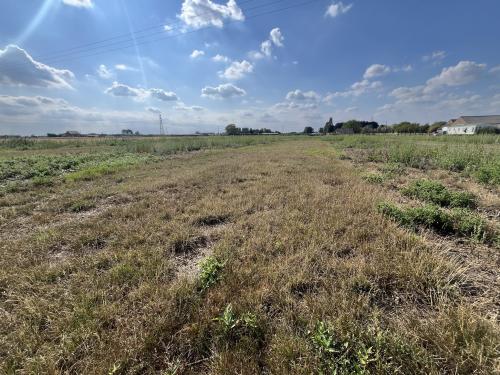 10.74 Acres, Wheatley Bank, Wisbech, PE14