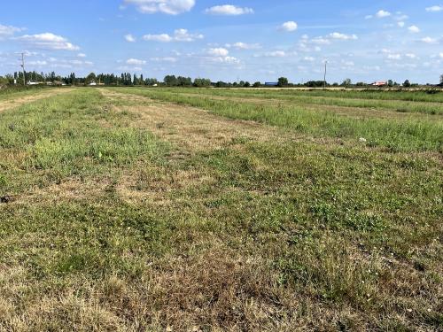 10.74 Acres, Wheatley Bank, Wisbech, PE14