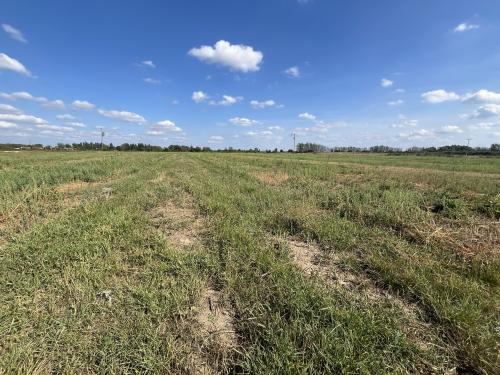 10.74 Acres, Wheatley Bank, Wisbech, PE14