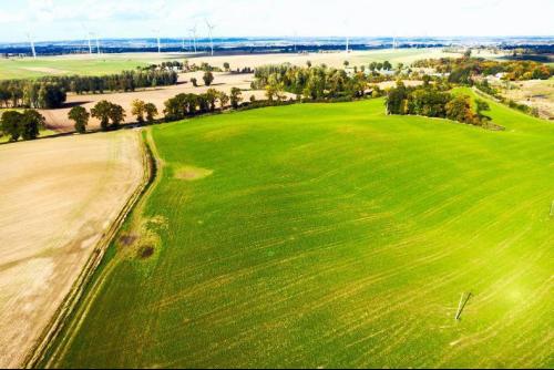 Olsen Farms, Rydzówka, 14-40