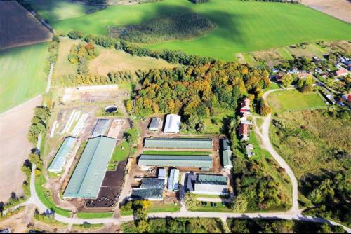 Olsen Farms, Rydzówka, 14-40