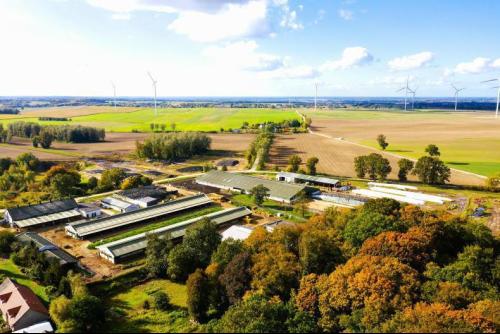 Olsen Farms, Rydzówka, 14-40