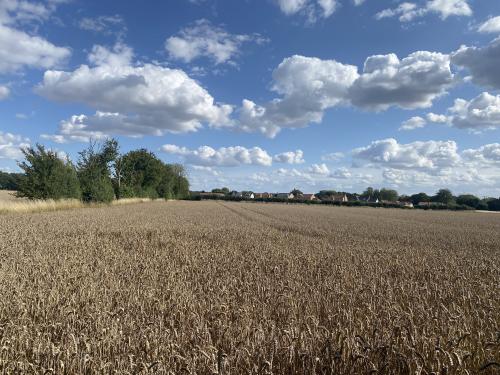 Fen Street, Old Buckenham, Attleborough, NR17