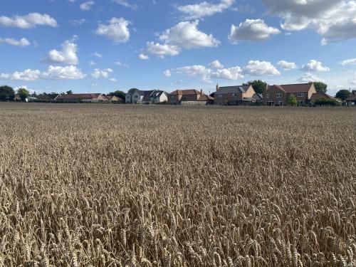 Fen Street, Old Buckenham, Attleborough, NR17