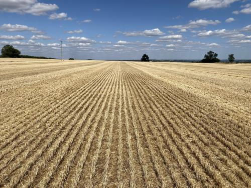 41.78 Acres Court Farm, Hook Norton, Banbury, OX15