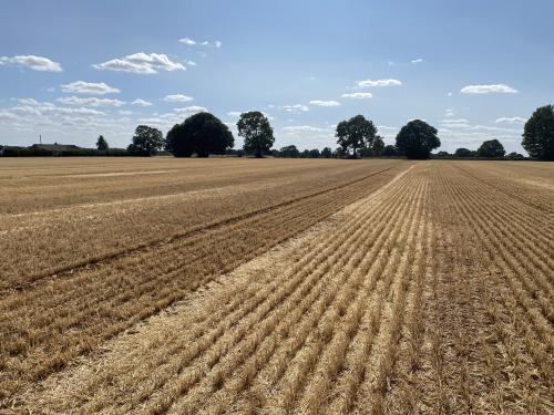 41.78 Acres Court Farm, Hook Norton, Banbury, OX15