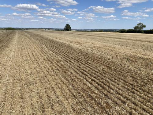 41.78 Acres Court Farm, Hook Norton, Banbury, OX15