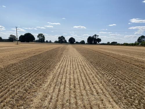 41.78 Acres Court Farm, Hook Norton, Banbury, OX15