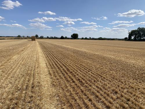 41.78 Acres Court Farm, Hook Norton, Banbury, OX15