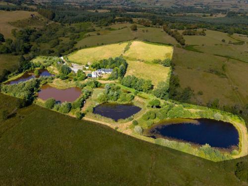 Fron Farm, Bontnewydd, Aberystwyth, SY23
