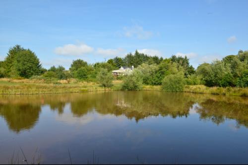 Fron Farm, Bontnewydd, Aberystwyth, SY23