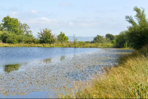 Fron Farm, Bontnewydd, Aberystwyth, SY23