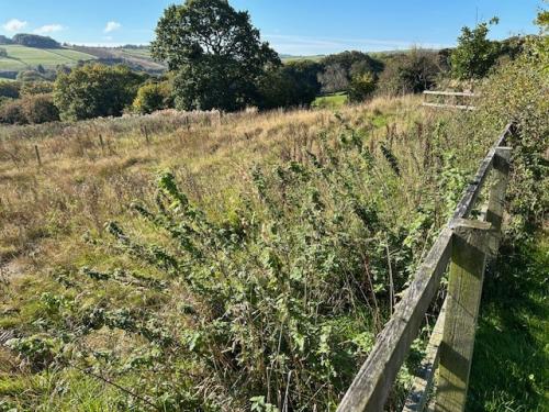 Greenbelt Land at, Low Whin Close, Keighley, BD22
