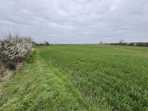 12.61 Acres Lot 2, Short Causeway, Coveney, Witcham, CB6