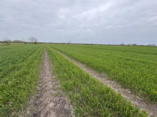 12.61 Acres Lot 2, Short Causeway, Coveney, Witcham, CB6
