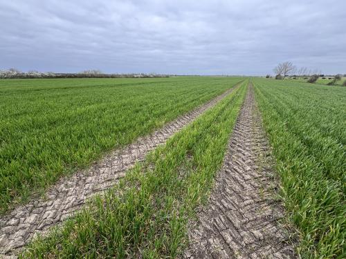 18.09 Acres Lot 1, Short Causeway, Coveney, Witcham, CB6