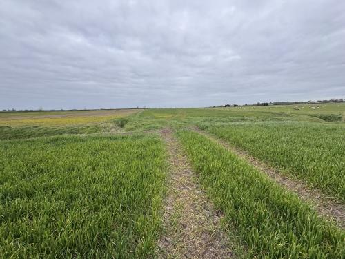 18.09 Acres Lot 1, Short Causeway, Coveney, Witcham, CB6