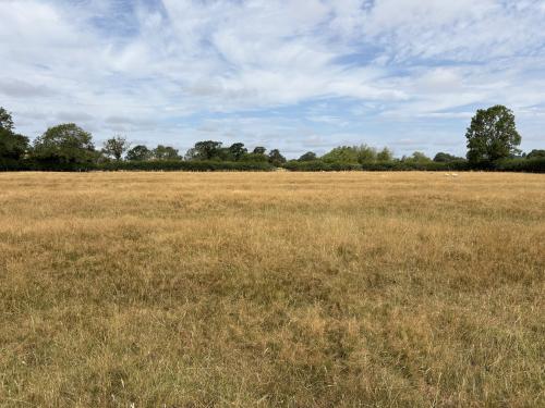 82.66 Acres, Knights Farm, B4100, Avon Dassett, Southam, CV47