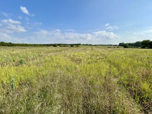 Harvest Hill Lane, Meriden, Coventry, CV7